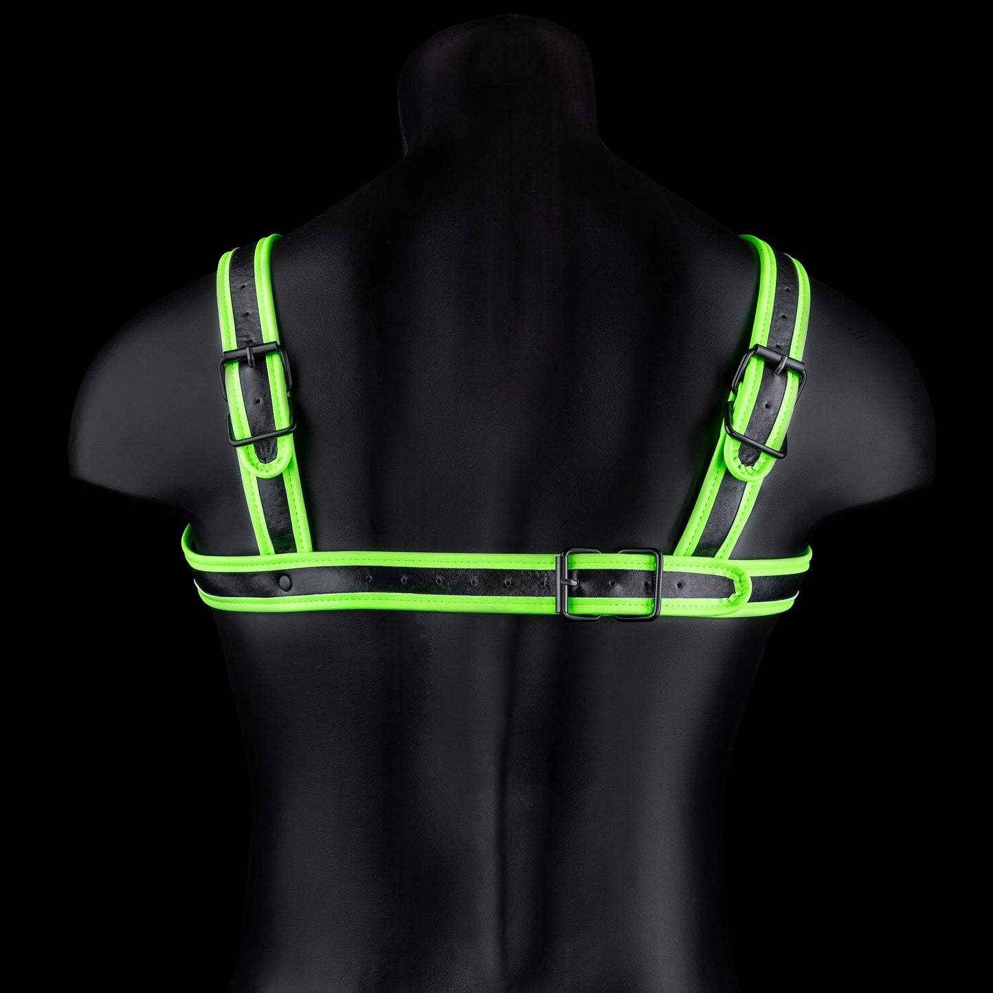 Bonded Leather Buckle Harness - - Glow in the Dark